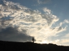 IMG_1755_resize