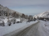 IMG_9509_resize