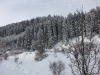IMG_9515_resize