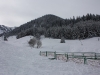 IMG_9585_resize