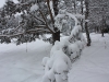IMG_9615_resize