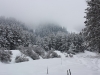 IMG_9632_resize