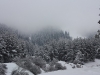 IMG_9649_resize