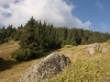 IMG_8250_resize