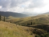 IMG_8254_resize