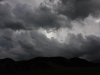 IMG_2238_resize