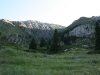 IMG_2553_resize