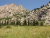 IMG_2731_resize