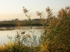 IMG_4953_resize
