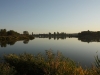 IMG_4964_resize
