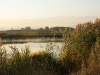 IMG_4997_resize