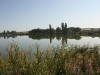 IMG_5006_resize