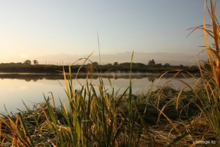 IMG_4958_resize