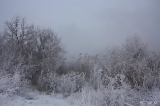IMG_6300_resize