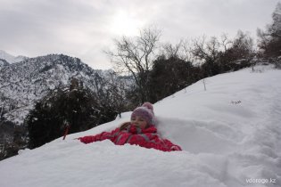 IMG_6575_resize