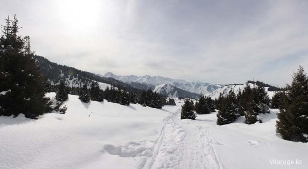 img_6819-panorama
