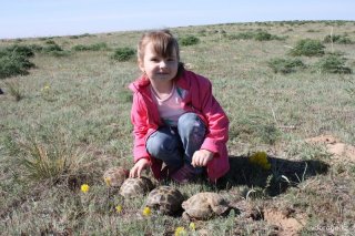 IMG_0832_resize