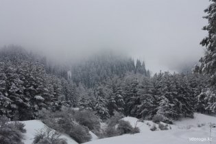 IMG_9649_resize