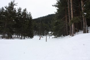 IMG_9335_resize