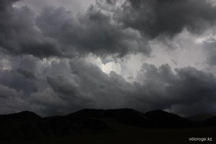 IMG_2238_resize