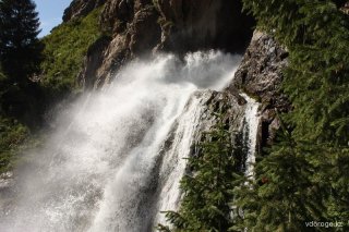 IMG_2871_resize