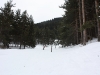 IMG_9335_resize