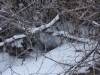 IMG_6247_resize