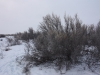 IMG_6286_resize