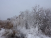 IMG_6304_resize