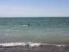 IMG_5172_resize
