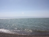 IMG_5187_resize