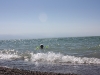 IMG_5197_resize