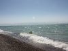 IMG_5205_resize