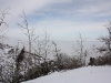 IMG_6624_resize