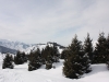 IMG_6813_resize
