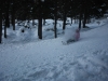 IMG_7115_resize
