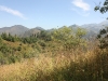 IMG_8362_resize