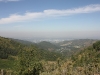 IMG_8364_resize