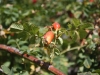 IMG_8377_resize