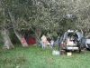 IMG_4310_resize