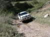 IMG_4331_resize