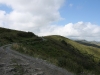 IMG_4388_resize