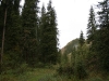 IMG_4459_resize
