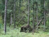 IMG_4460_resize