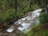 IMG_4462_resize