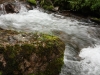 IMG_4544_resize