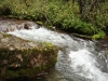 IMG_4547_resize