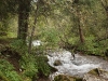 IMG_4549_resize