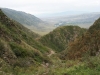 IMG_4553_resize