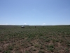 IMG_0903_resize
